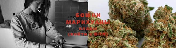 дживик Наволоки