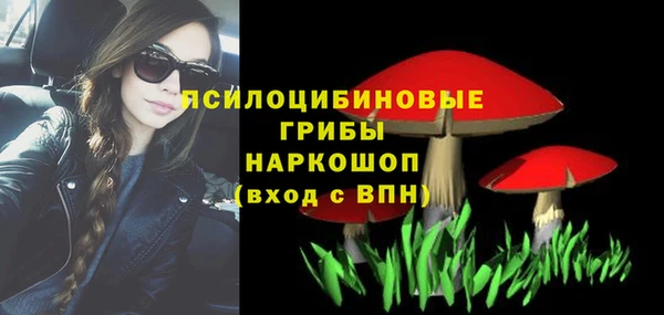 дживик Наволоки