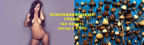 дживик Наволоки