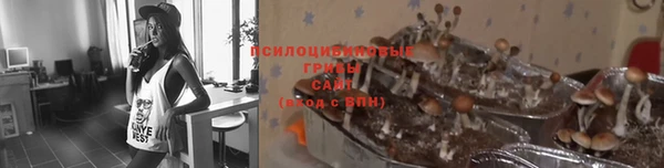 гидра Навашино