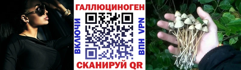 Галлюциногенные грибы Cubensis  Купить закладки  Поворино 