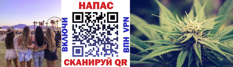Купить  Поворино  Каннабис индика 